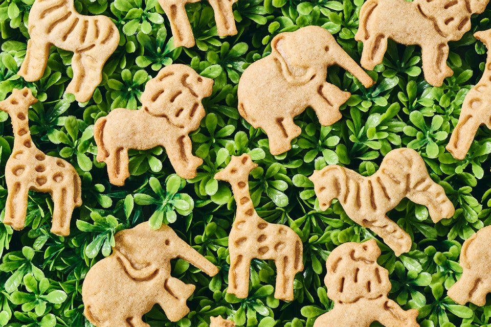 Assorted Animal Cookies in a jungle-like environment
