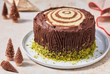 Souche de Noël cake showing a sculpted chocolate frosting to appear as a tree stump with pistachio around the base to mimic moss.