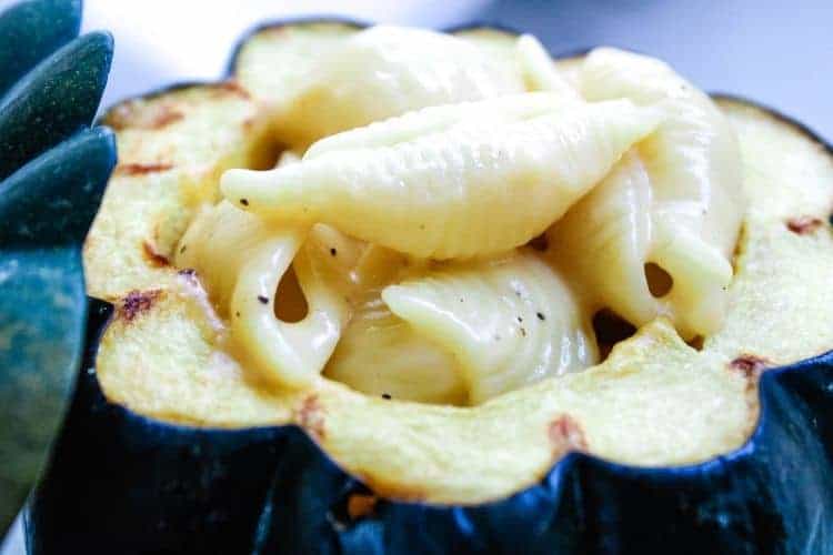 Closeup of macaroni and cheese in acorn squash with shell noodles