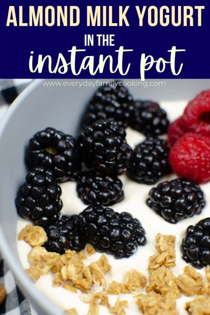 Title and Shown: Amond Milk Yogurt in the Instant Pot (in a grey bowl with berries and granola)