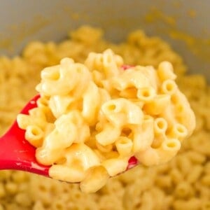 mac n cheese on a spoon