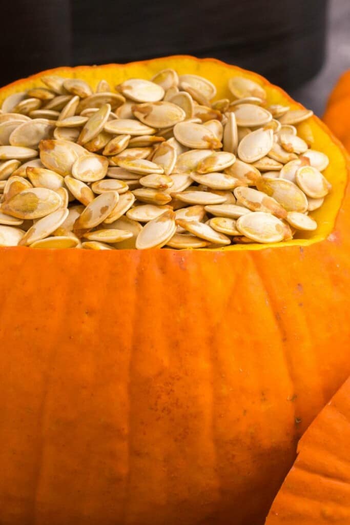 pumpkin filled with air fried seeds