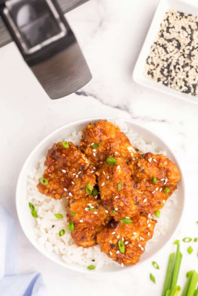 teriyaki chicken on bed of rice