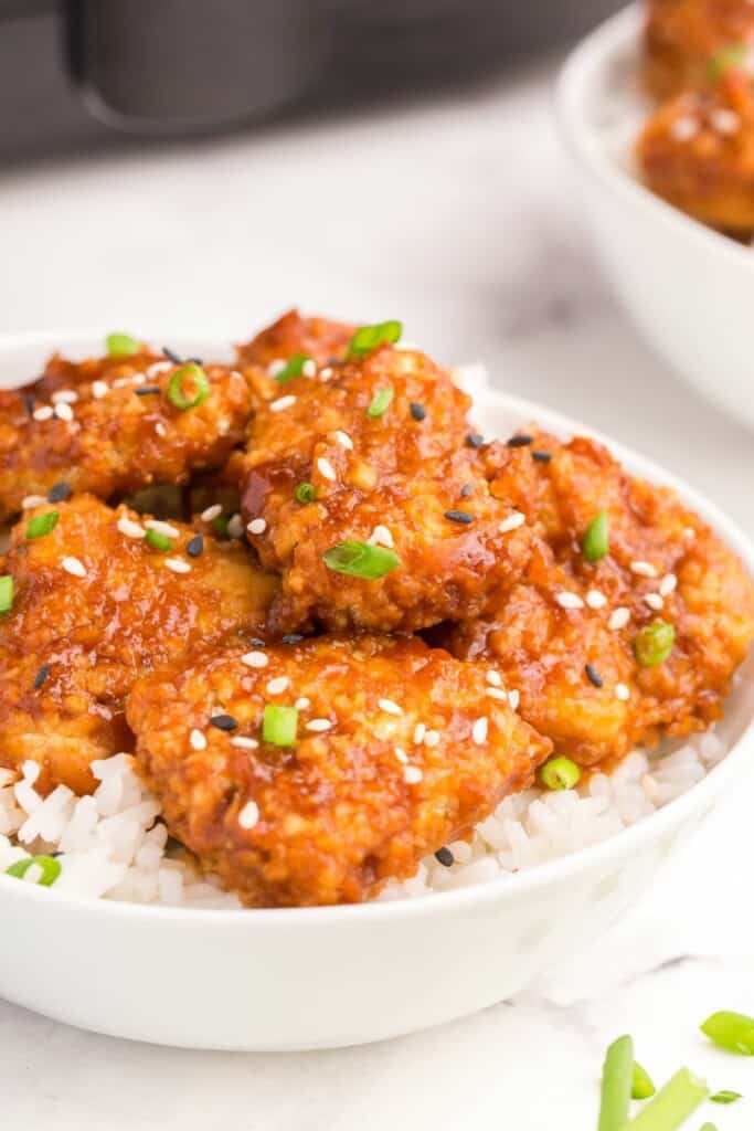 side view of teriyaki chicken on plate
