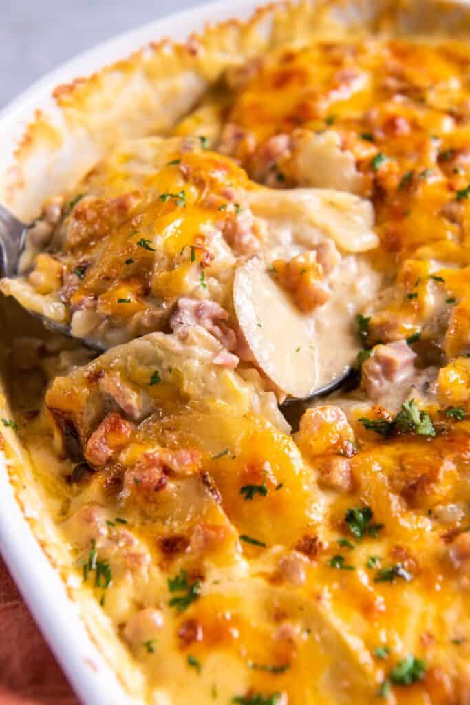 Close up of the scalloped potatoes and ham in a baking dish with a spoon puling some out.