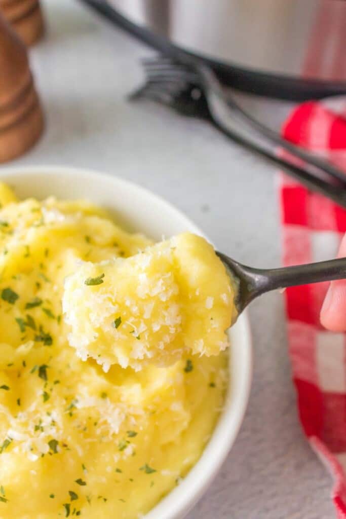 fork with mashed potatoes