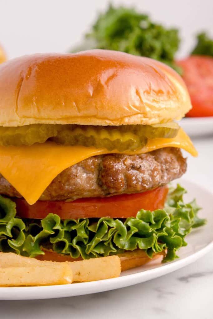 Close up of a burger on a bun with toppings on a white plate