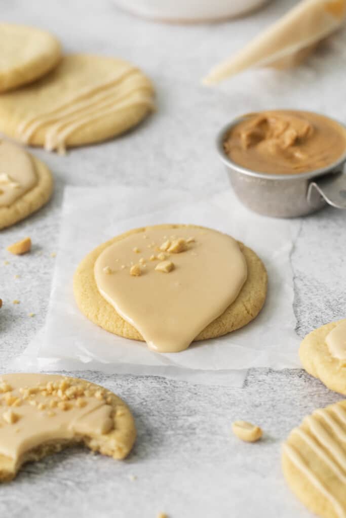 cookie with peanut butter icing