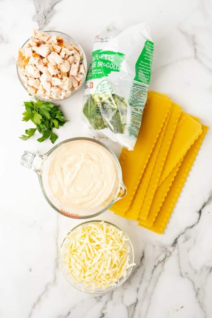 Overhead view of the ingredients needed to prepare chicken and broccoli lasagna.