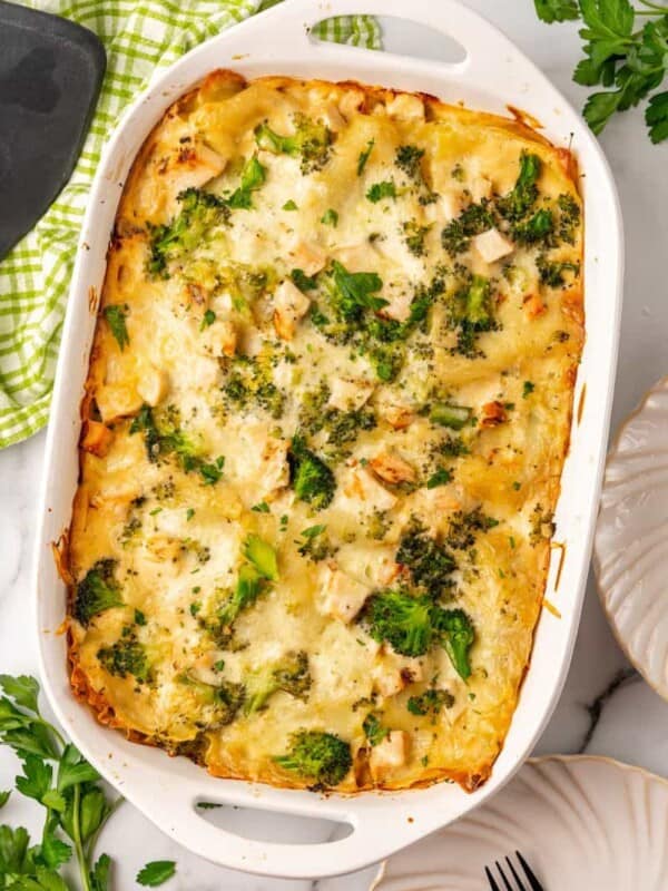 Baked chicken and broccoli lasagna in a white 9x13 casserole dish.