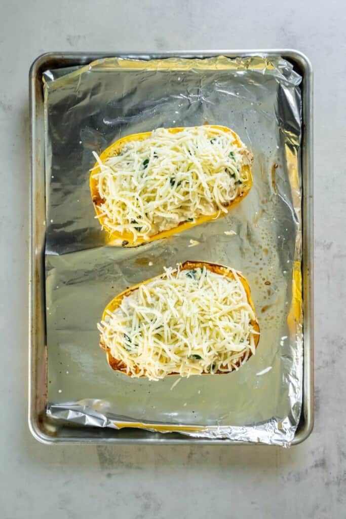 Adding chicken alfredo mixture into hollowed out spaghetti squash.