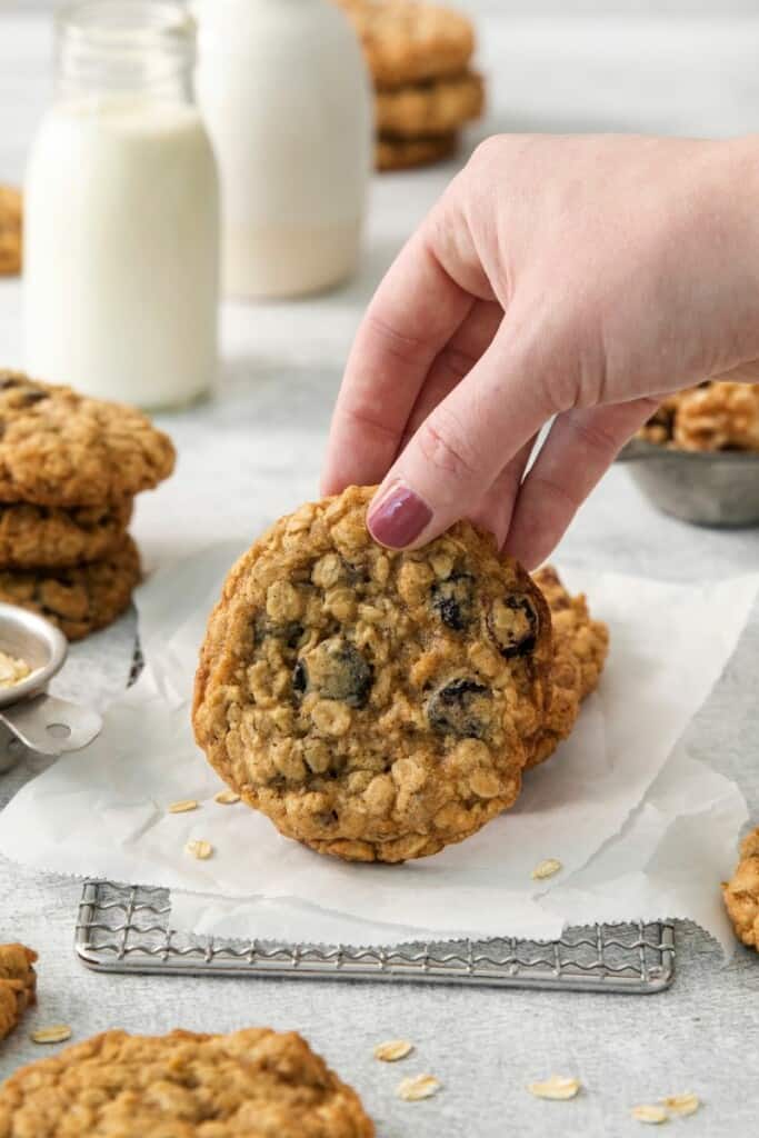 Closeup shot of nutty oatmeal cookie with dried cranberries.