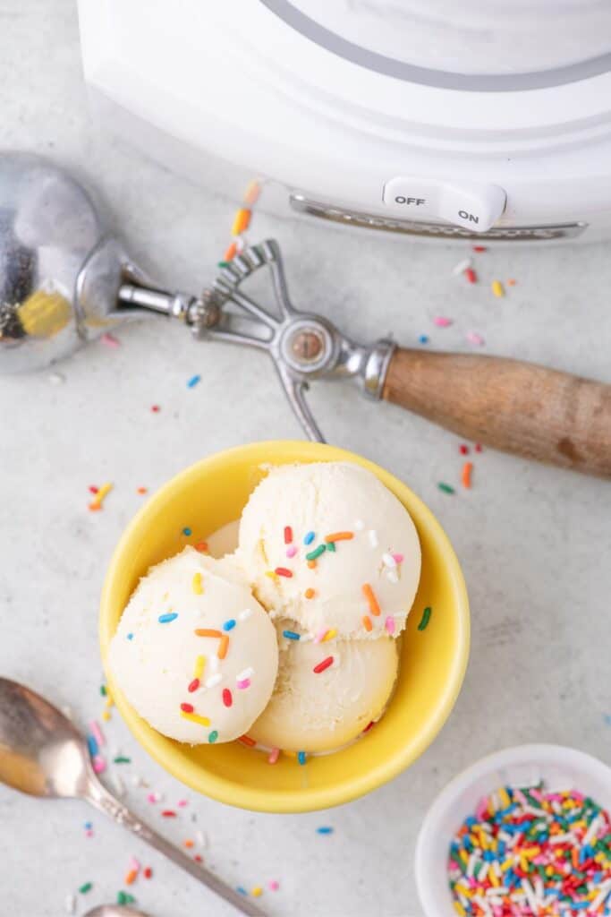 Bowl full of homemade vanilla ice cream with colorful sprinkles. Bowl is surrounded by an old fashioned ice cream scoop, a spoon, and a bowl of spilled sprinkles.