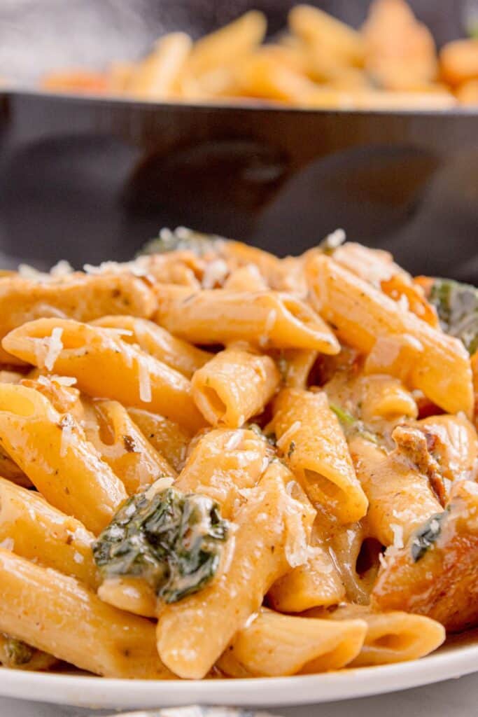 White dinner plate of penne chicken pasta.