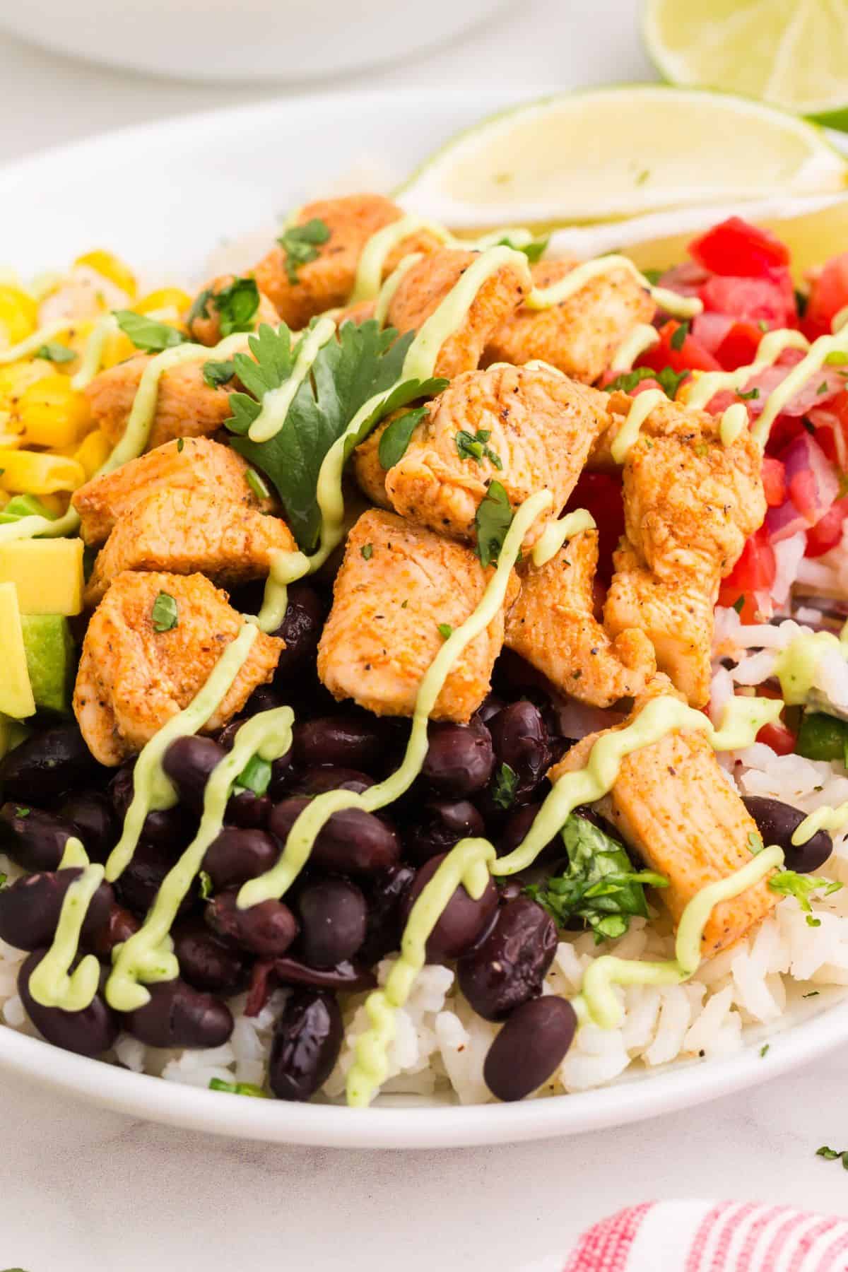 Chicken burrito bowl with avocado sauce drizzled over the top.