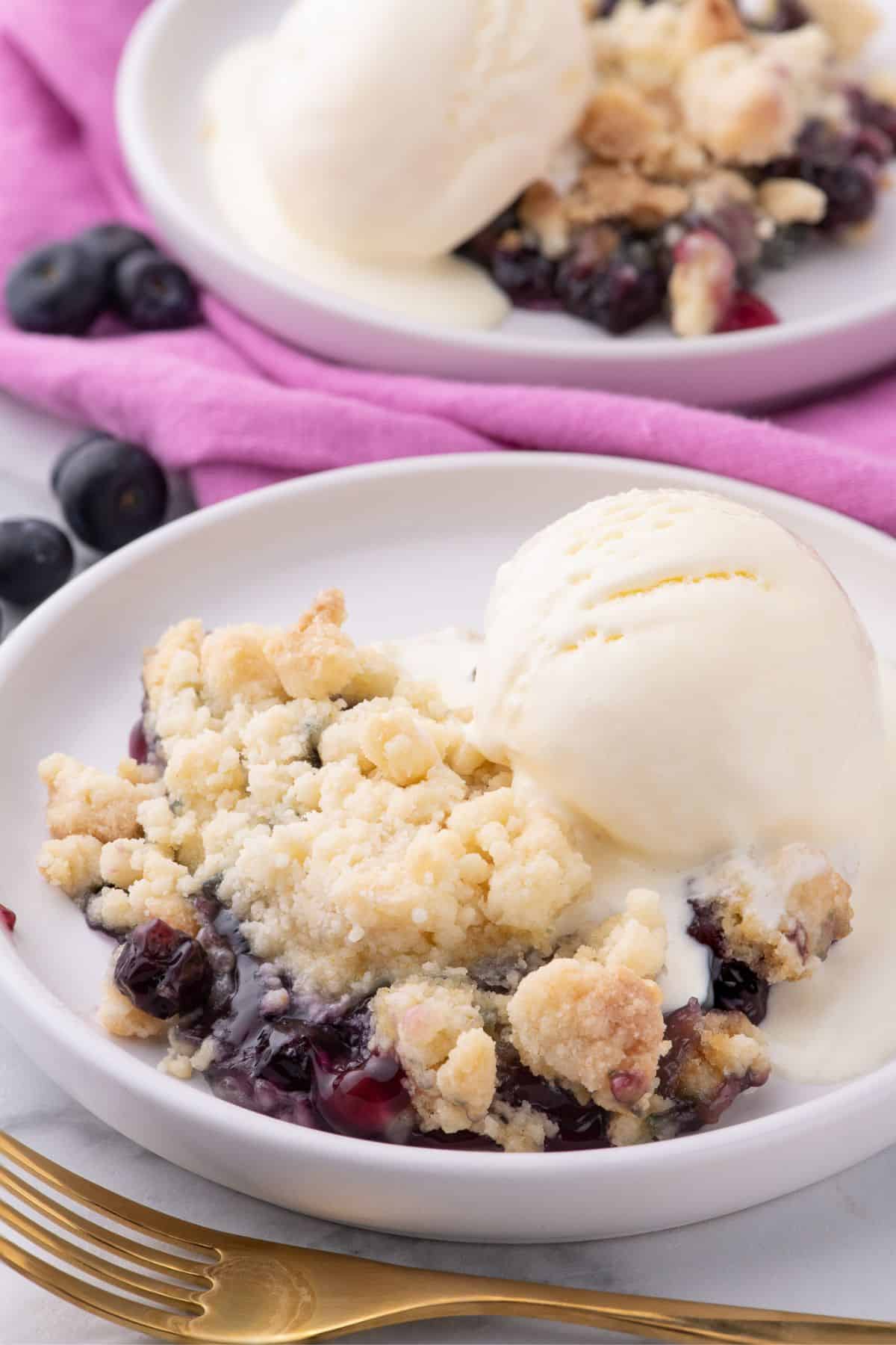 Two bowls of Blueberry cobbler; each with a scoop of vanilla ice cream.